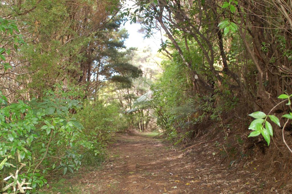 Parua Bay Kohinui Glade Holiday Cottage מראה חיצוני תמונה
