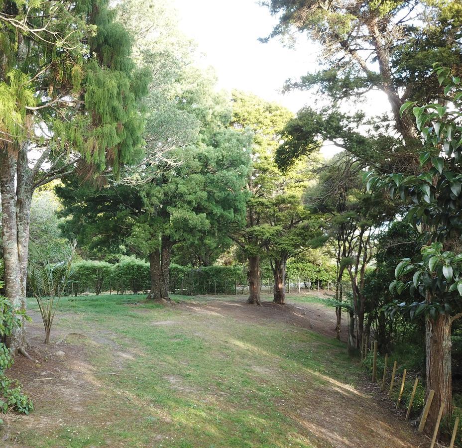 Parua Bay Kohinui Glade Holiday Cottage מראה חיצוני תמונה